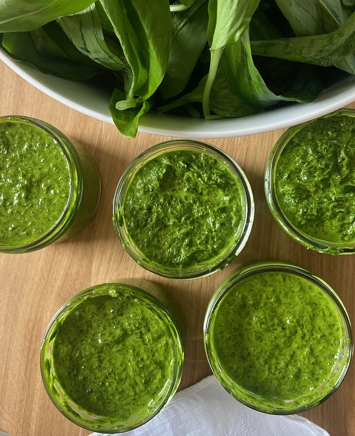 Frisches Bärlauchpesto in Gläsern