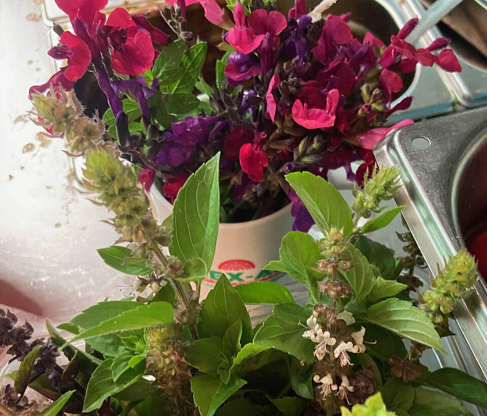 Bunte Blütenpracht mit pinken und roten Blumen im Garten