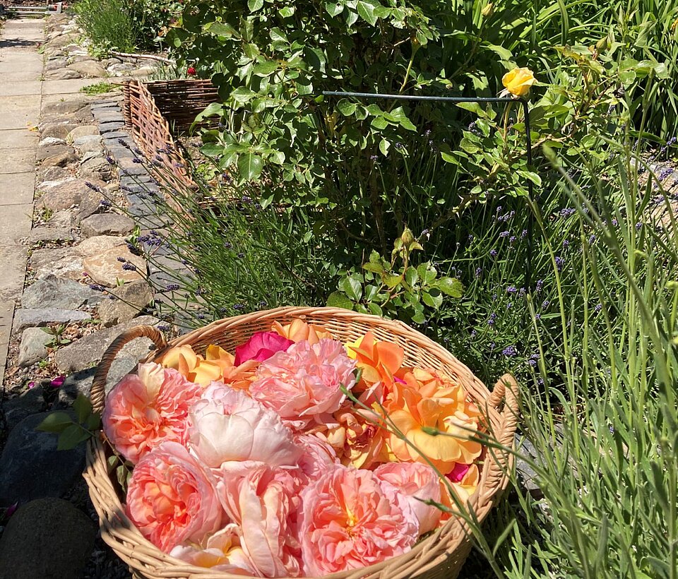 Dekorative Obstschale mit Blüten im Freien