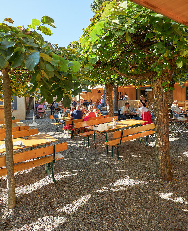 Weitläufiger Biergarten mit sonnigen Sitzplätzen und Schaukeln im Hotel-Landgasthof KREUZ Bad Waldsee