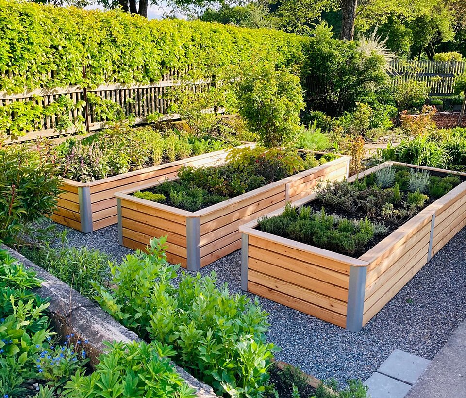 Gemüsebeet im Garten mit frischen Kräutern und Hochbeet