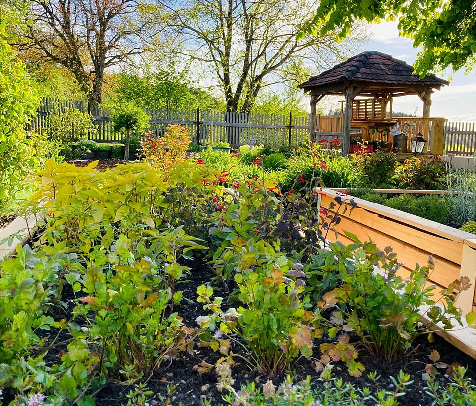 Grüner Garten mit Bäumen, Sträuchern und gepflegten Beeten