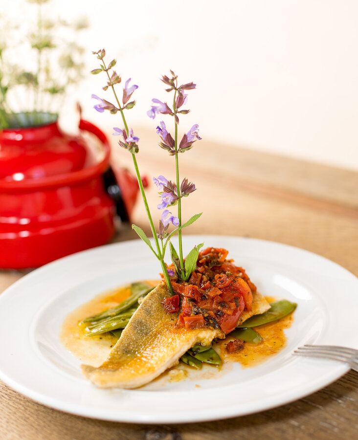 Fein angerichtetes Hauptgericht mit Vorspeise und dekorativer Blume im Restaurant des Hotel-Landgasthof KREUZ